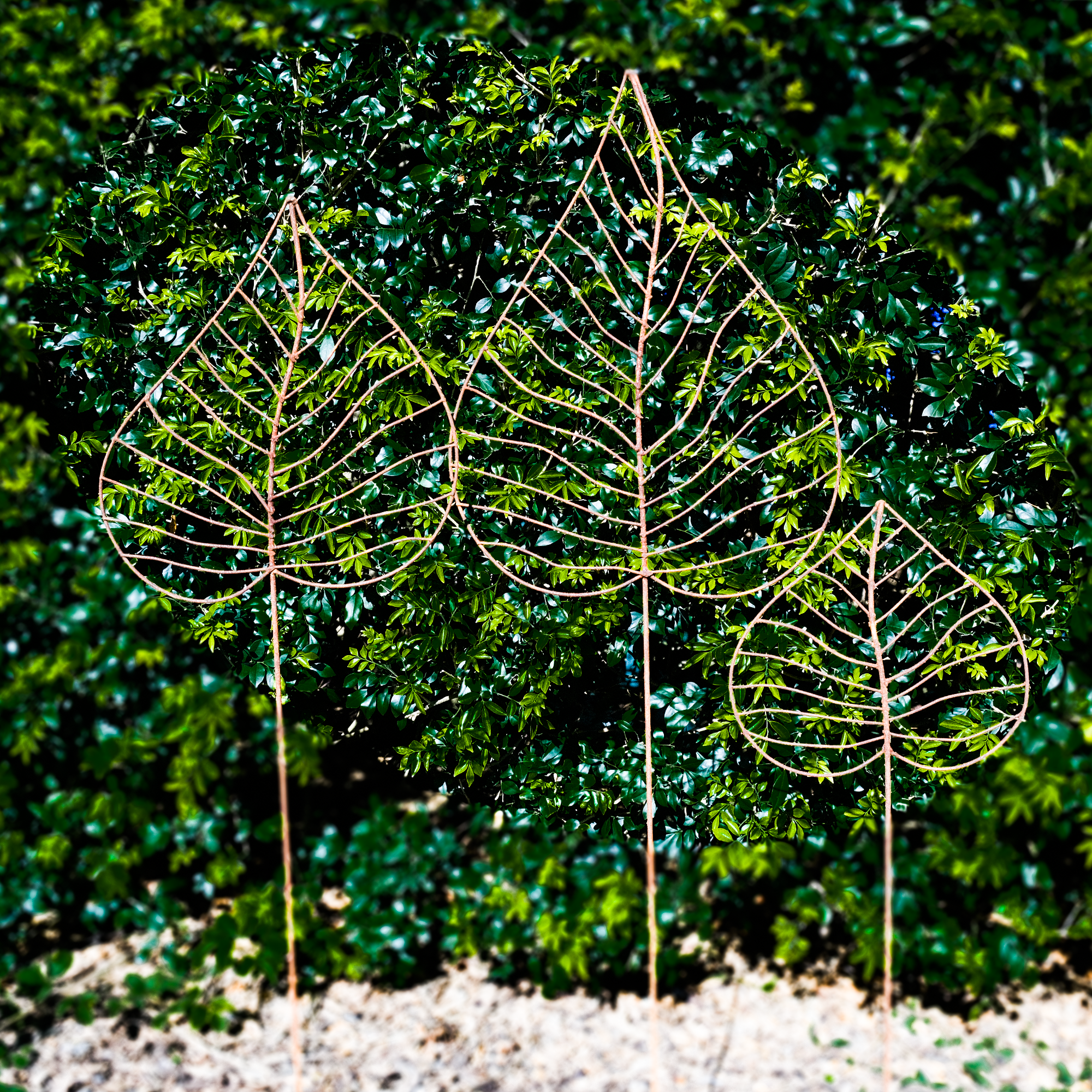 W4083 set -Heart Leaf