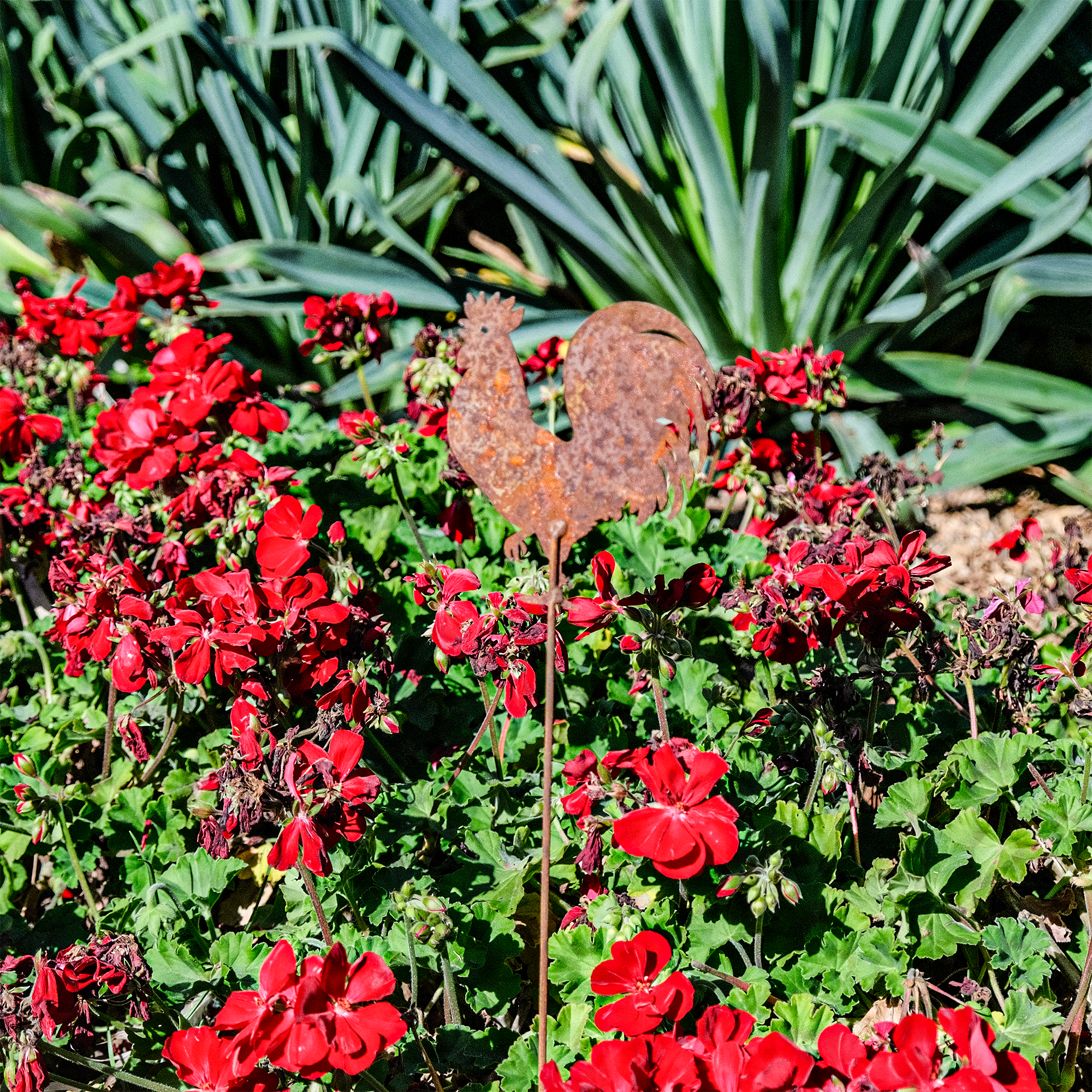 W4942 Rooster Stake - rusted garden stakes
