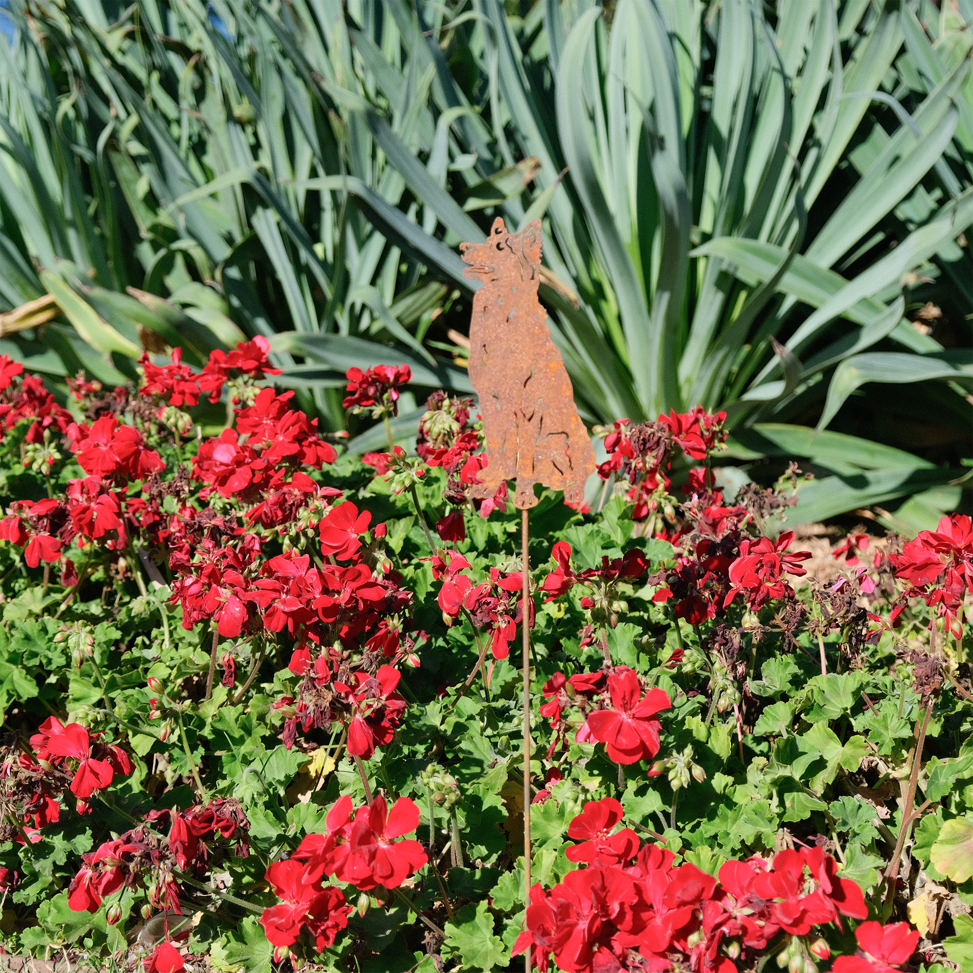 W4363 Dog Stakes - rusted garden stakes