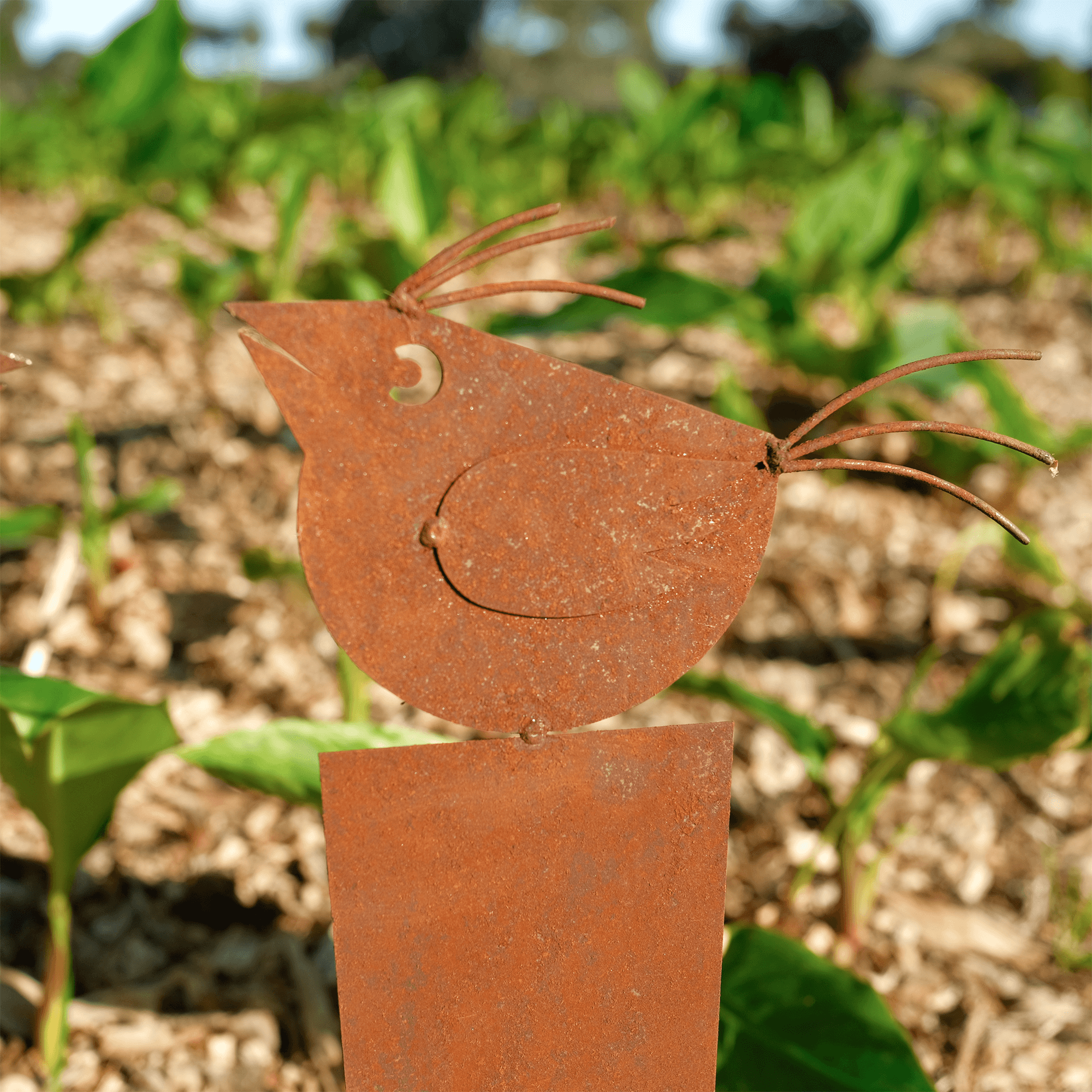 LU0252 - LU0253 Bird with long base