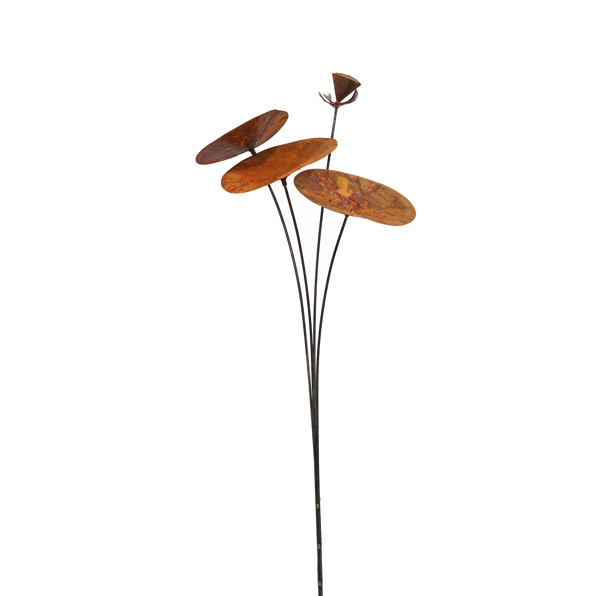 W3320B  Lotus leaf stake