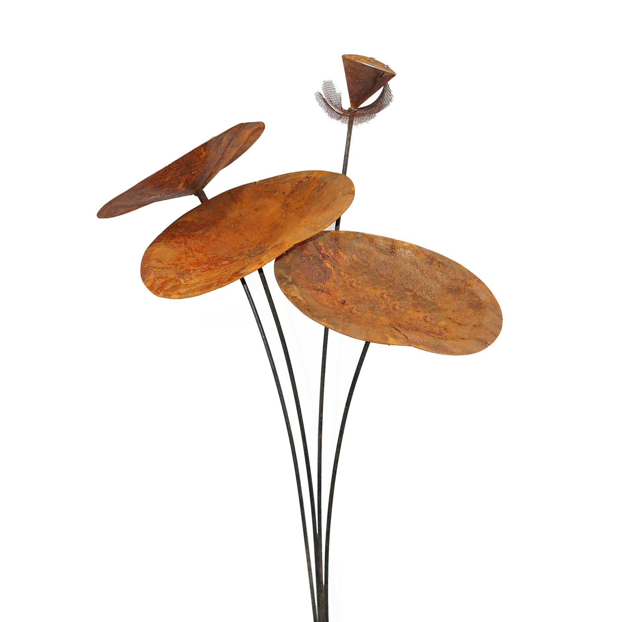 W3320B  Lotus leaf stake