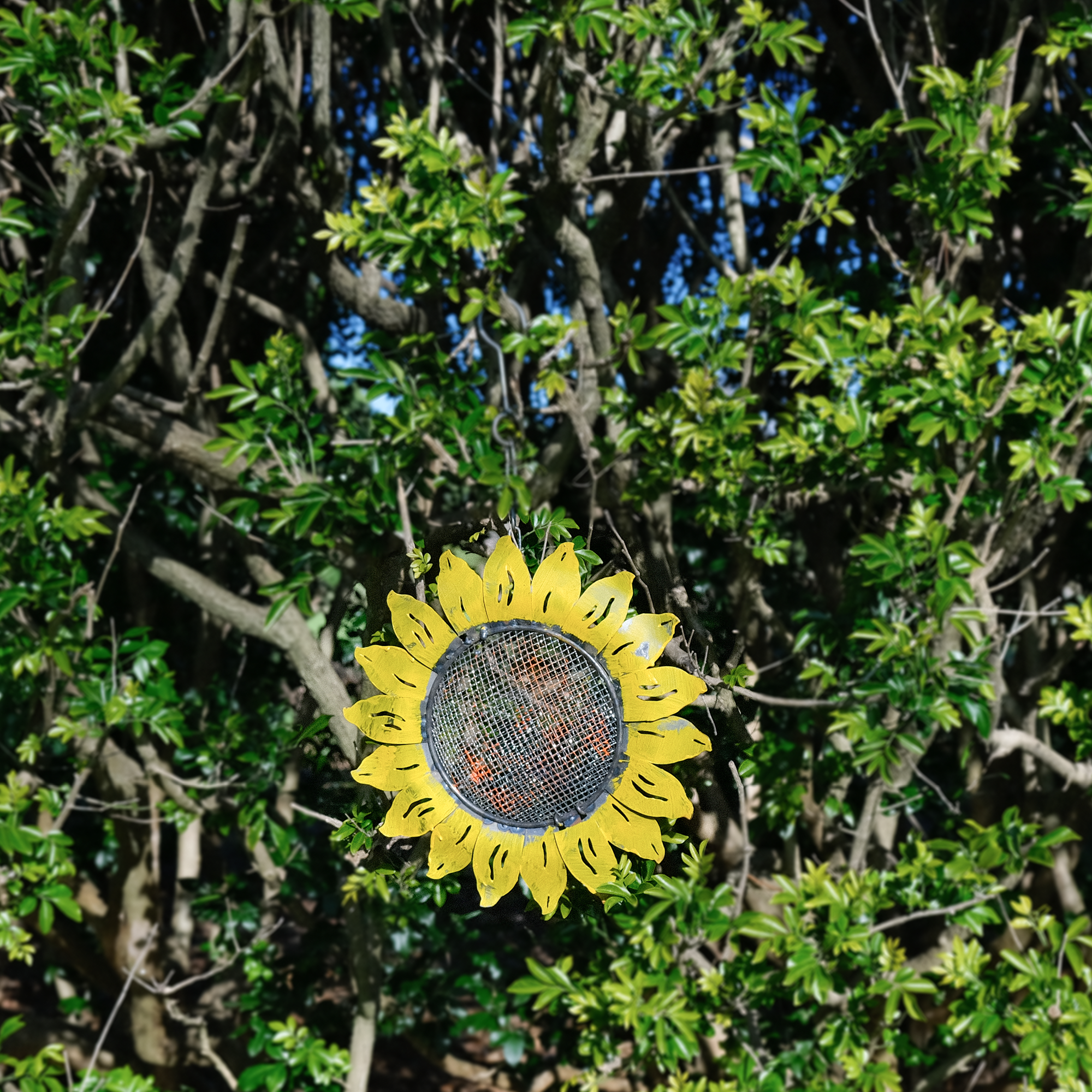 W3532C - Hanging Bird Feeder - sunflower - Natural Rusted and Yellow