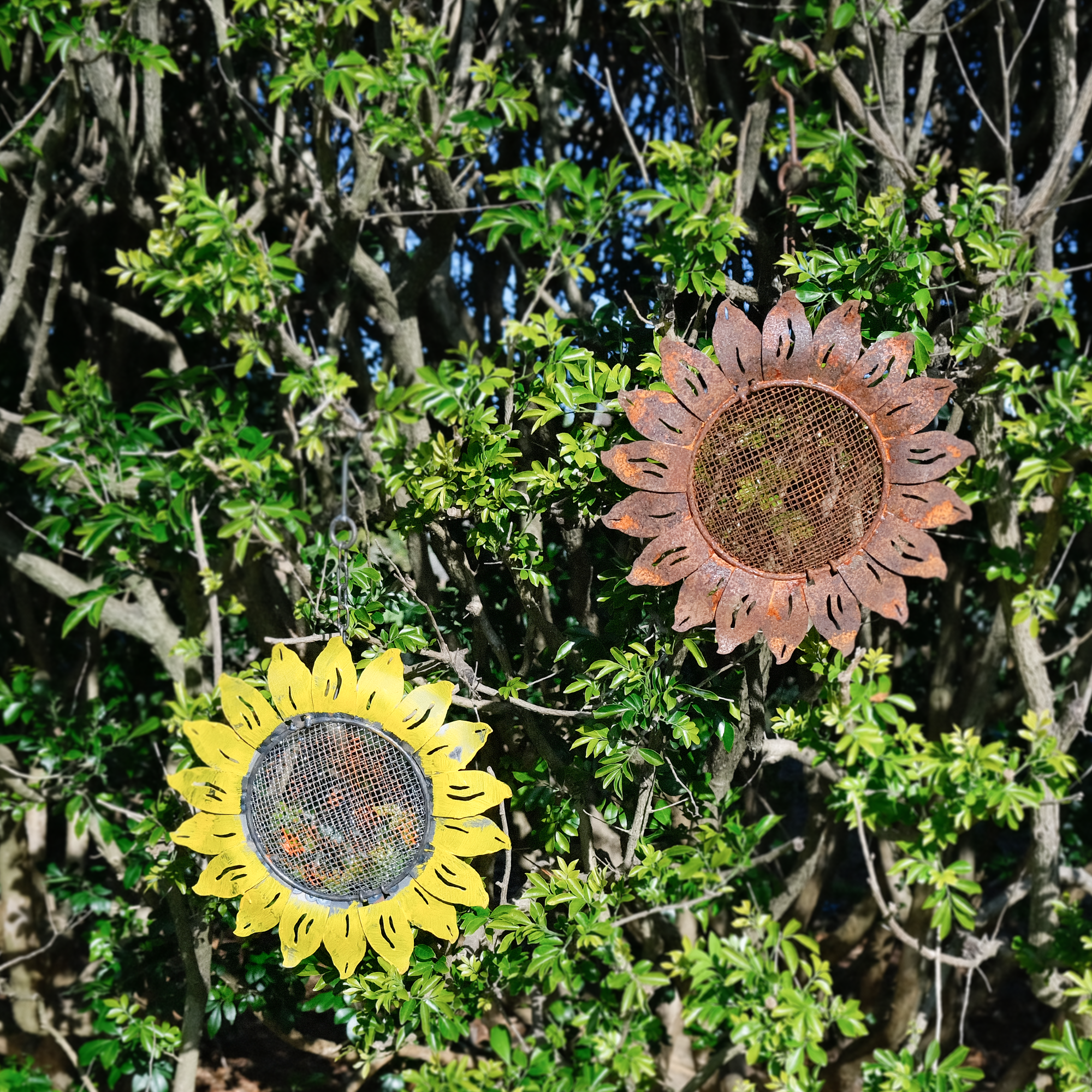 W3532C - Hanging Bird Feeder - sunflower - Natural Rusted and Yellow