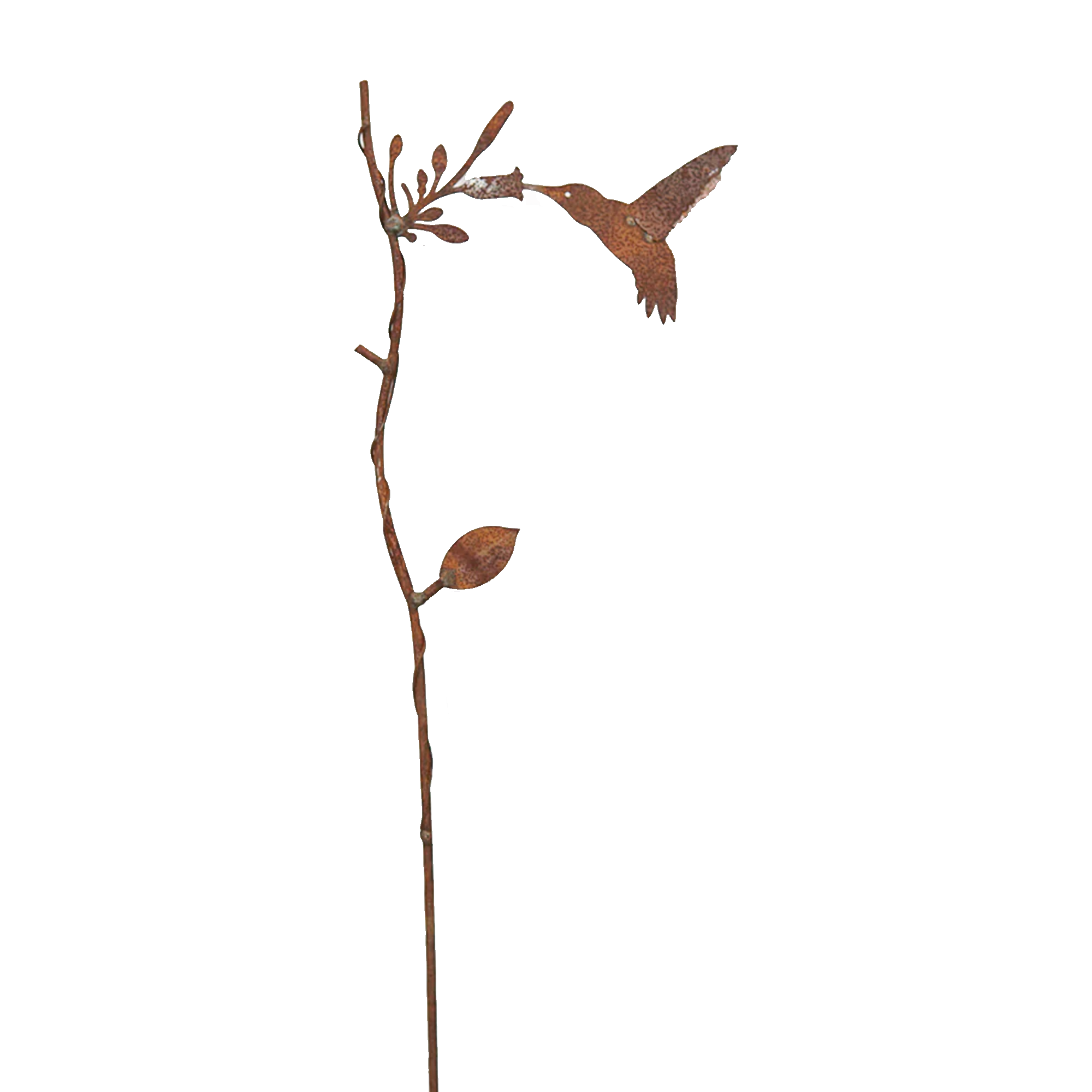 W378267-SET Branch Black-Capped Chickadee,Red-Headed Woodpecker andthroated Hummingbird