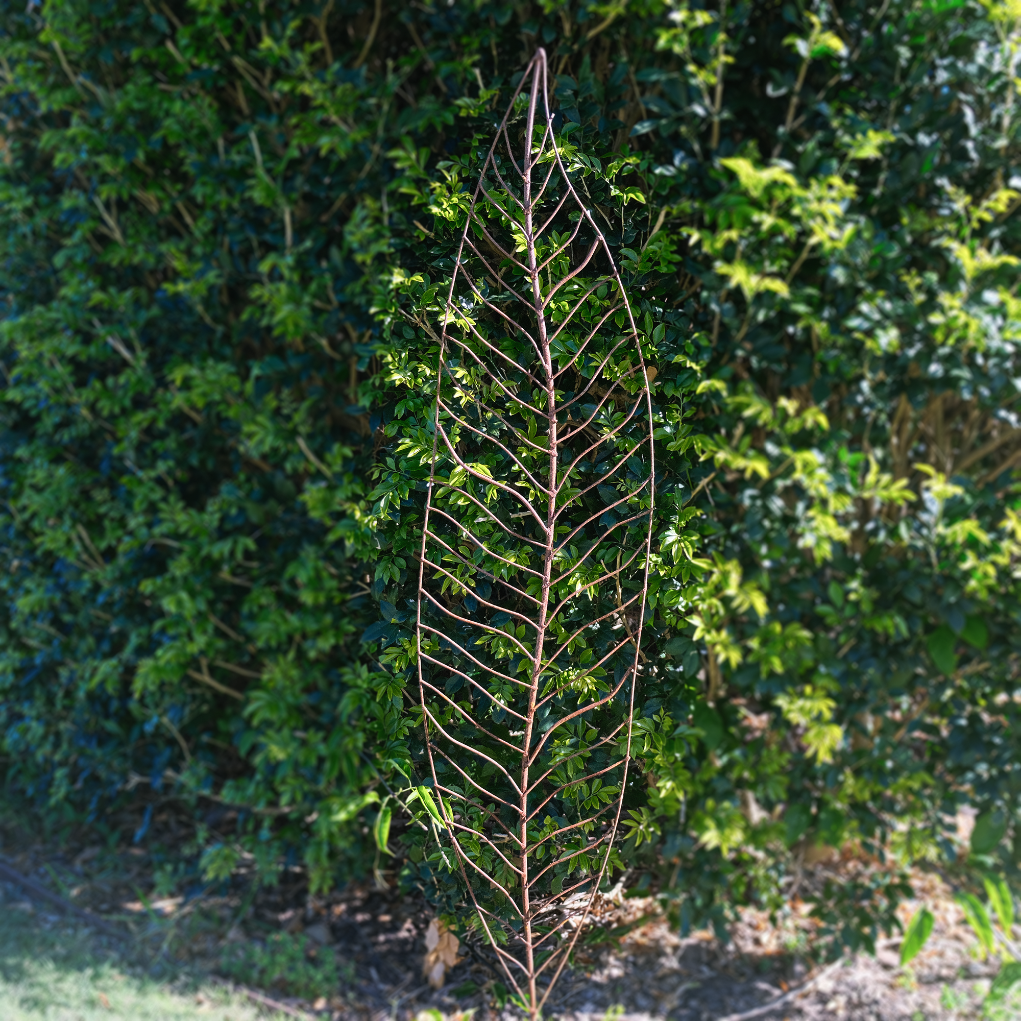 W4084 - Narrow Leaves - Natural Rusted - Pack of 3 leaves