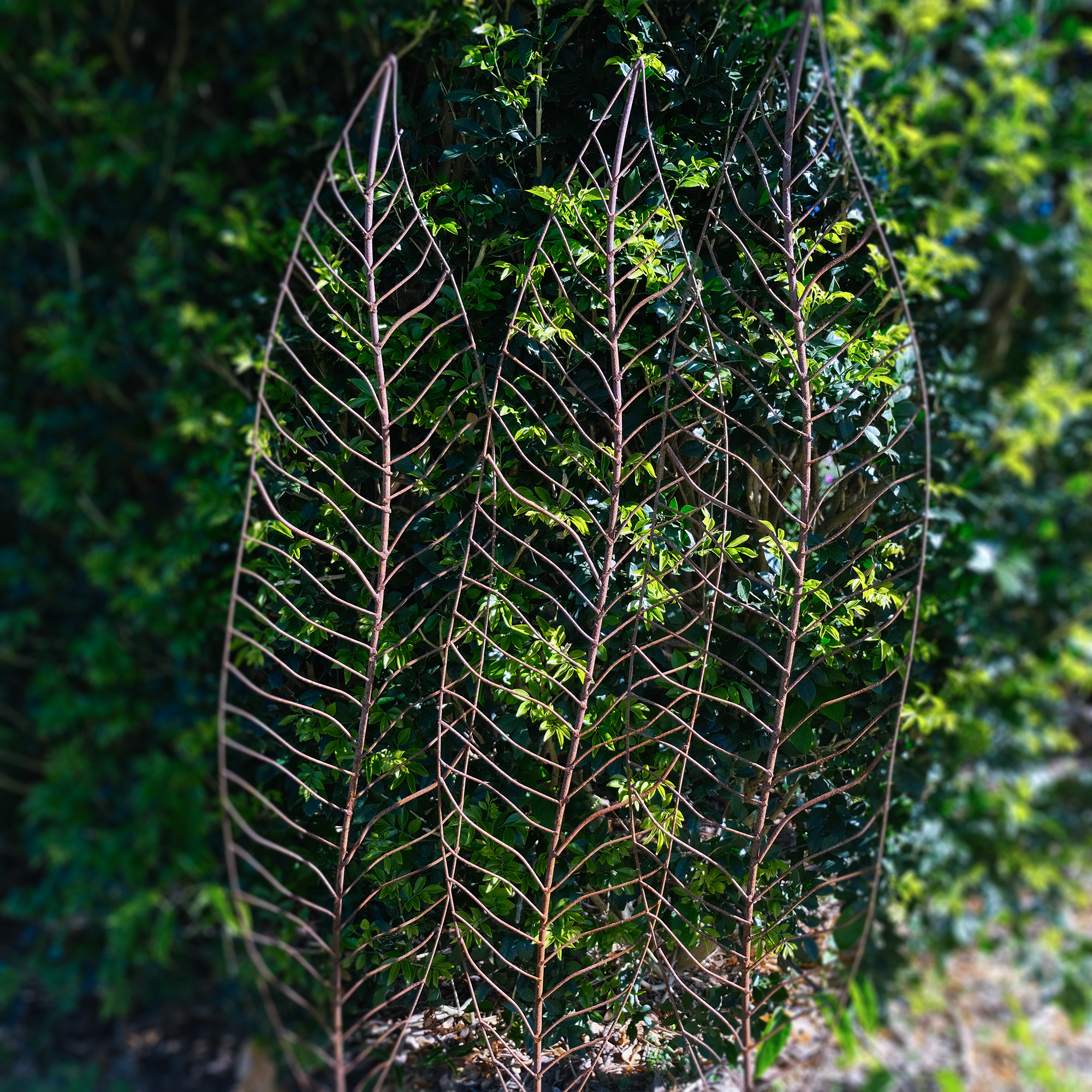 W4084 - Narrow Leaves - Natural Rusted - Pack of 3 leaves