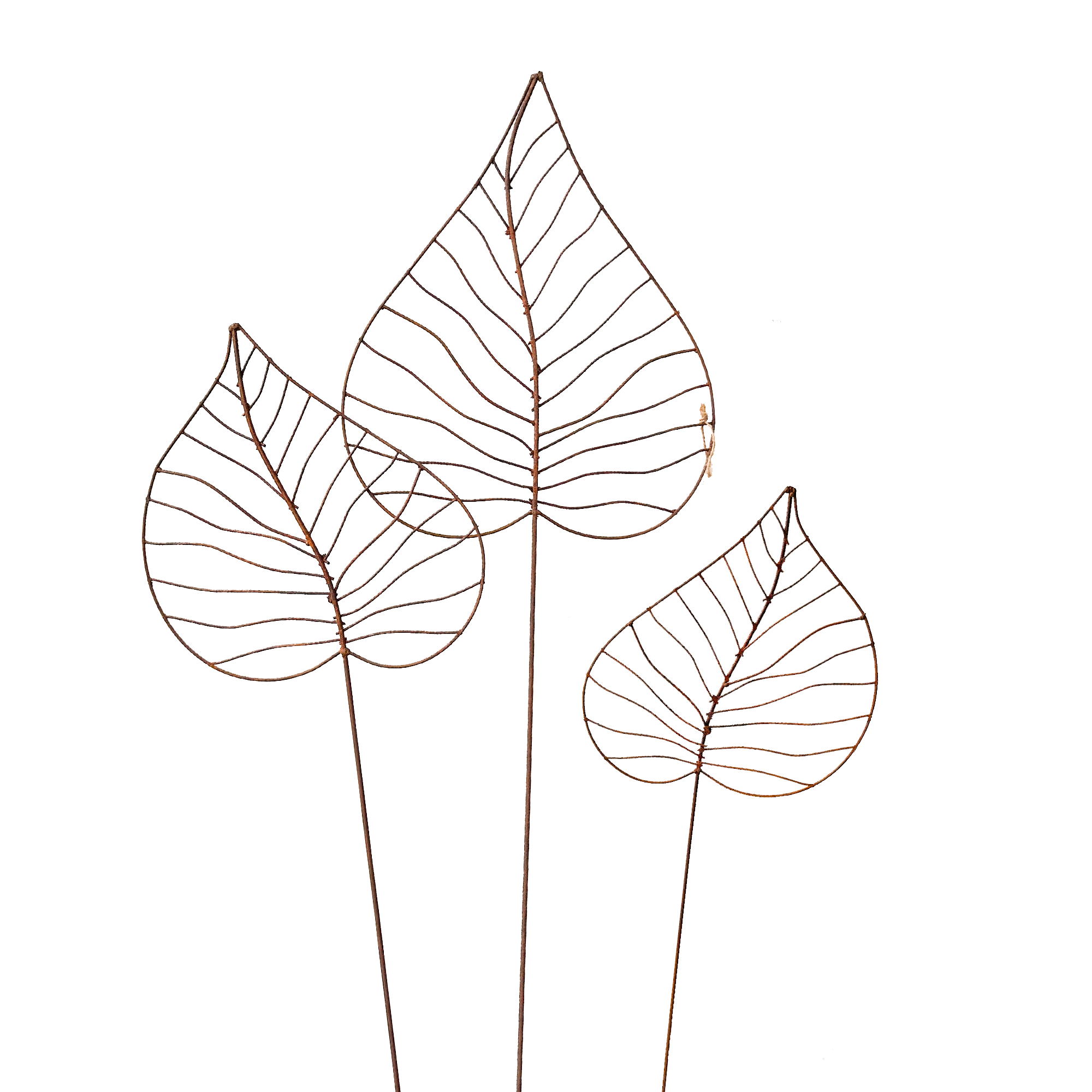 W4083 set -Heart Leaf