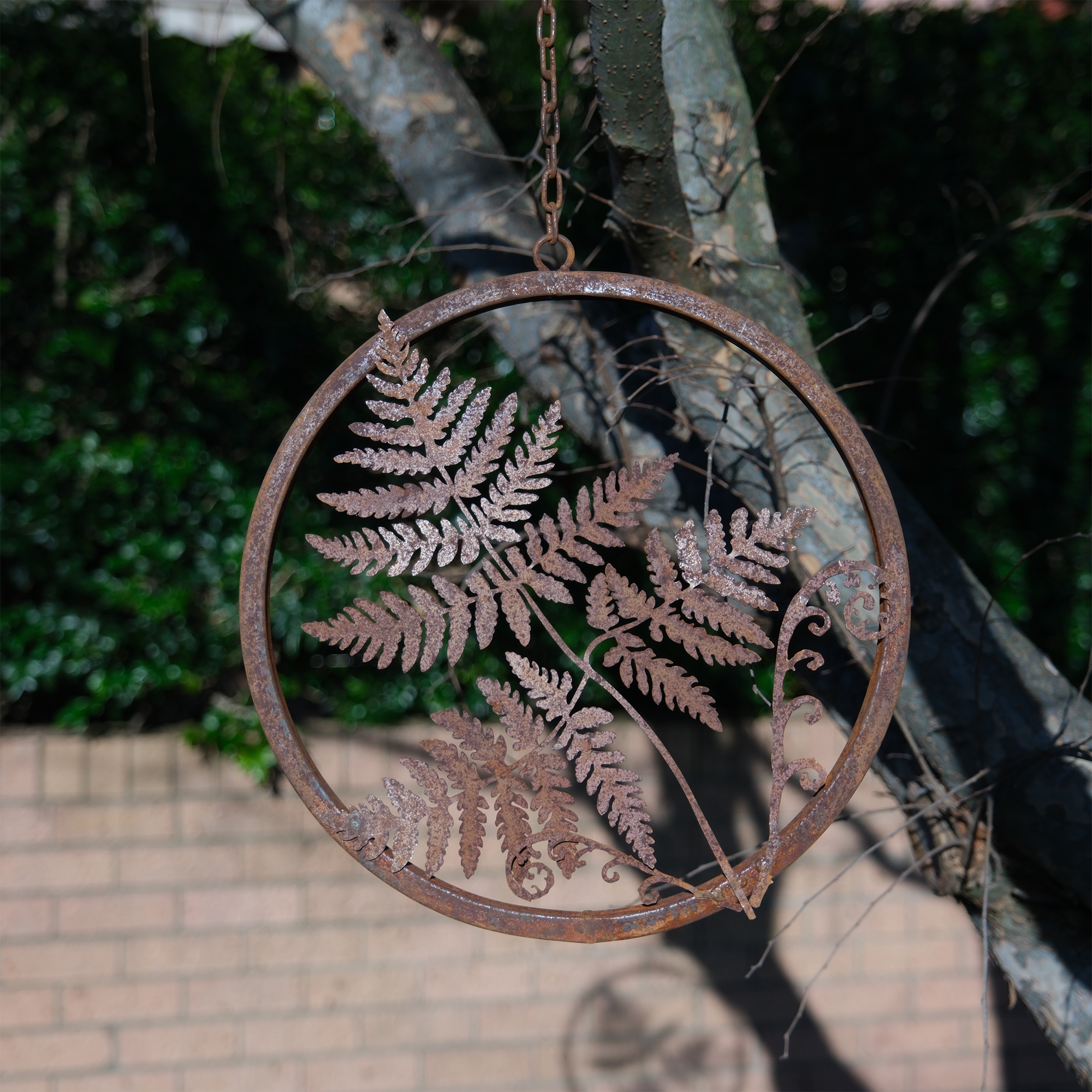 W4385 Lady Fern Ring - Rust & Raw steel