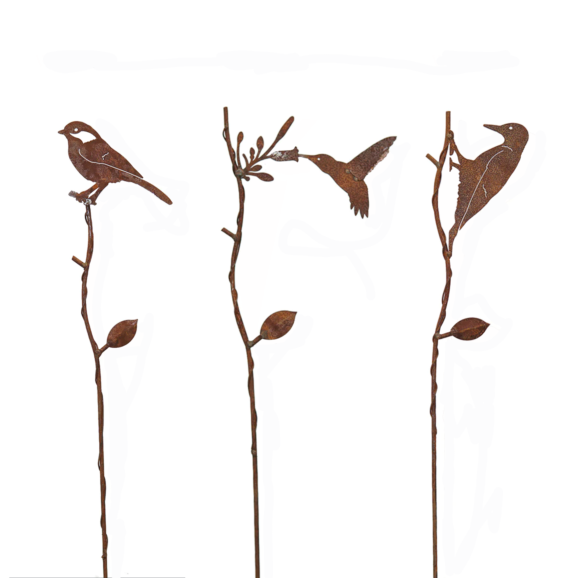 W378267-SET Branch Black-Capped Chickadee,Red-Headed Woodpecker andthroated Hummingbird