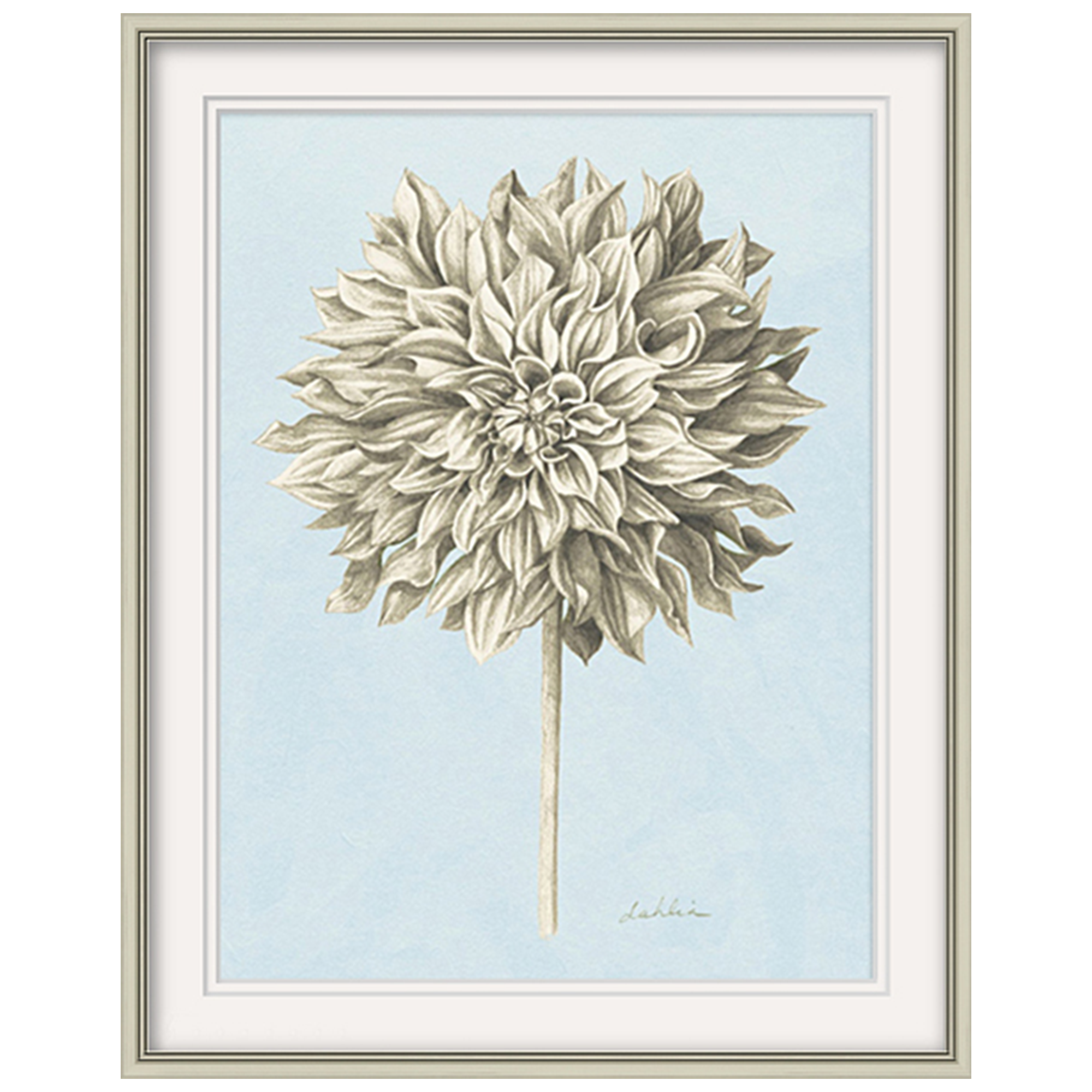 Flower sketch II Wall art ASJA1193B - 60*80cm