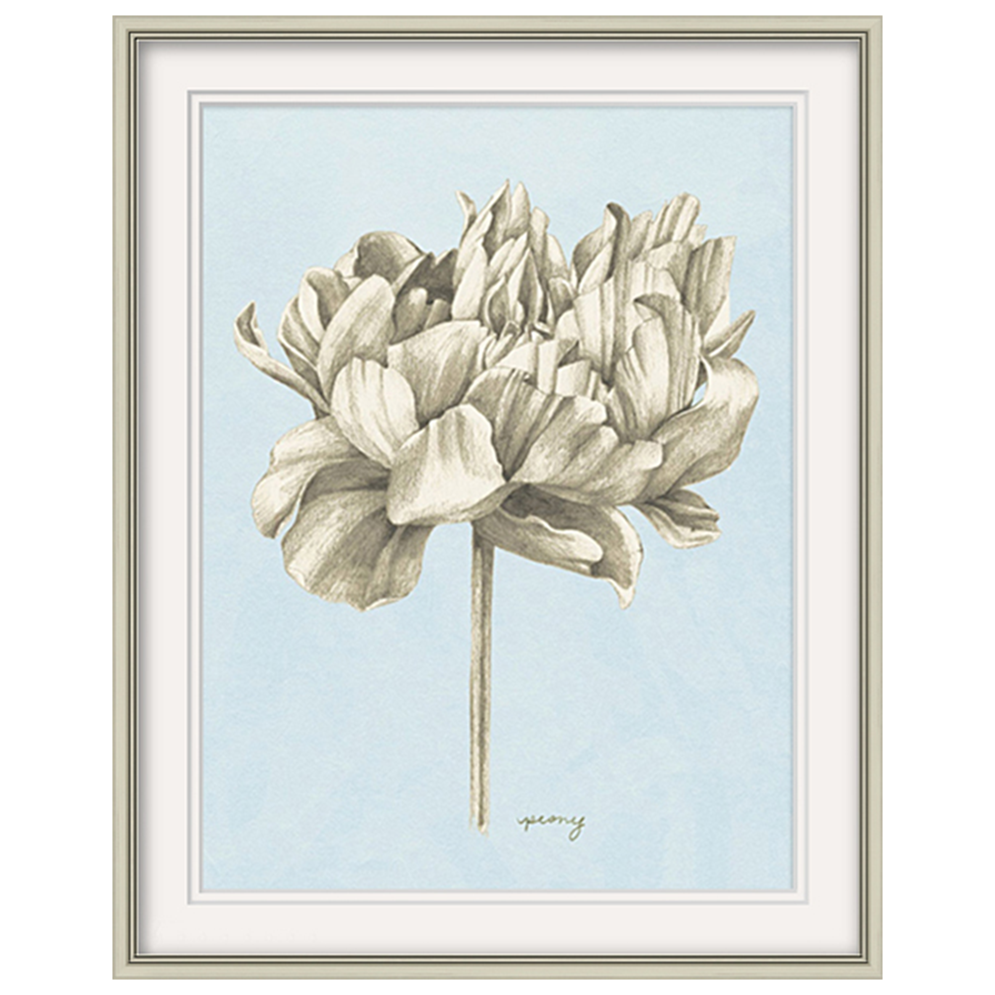 Flower sketch I Wall art ASJA1193A - 60*80cm