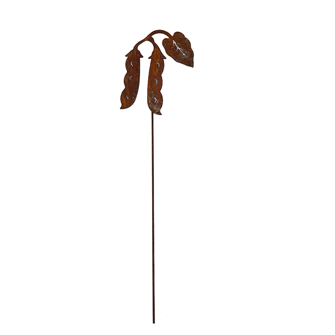 W4944 Hyacinth bean Picks - rusted garden stakes