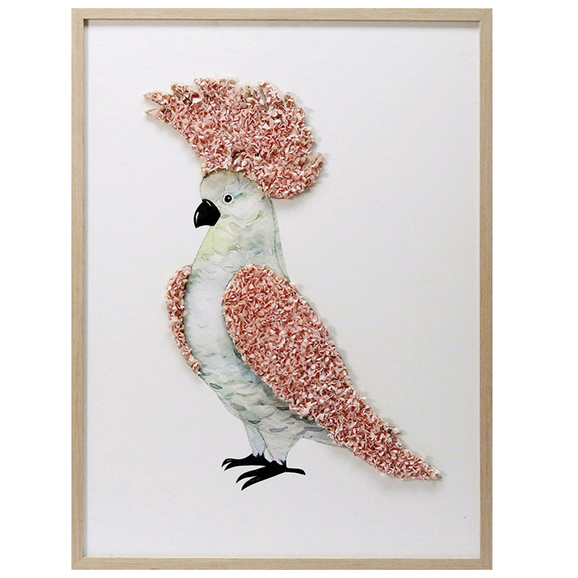 Baby parrot 3D Wall Art CHOA2007A - 60*80cm