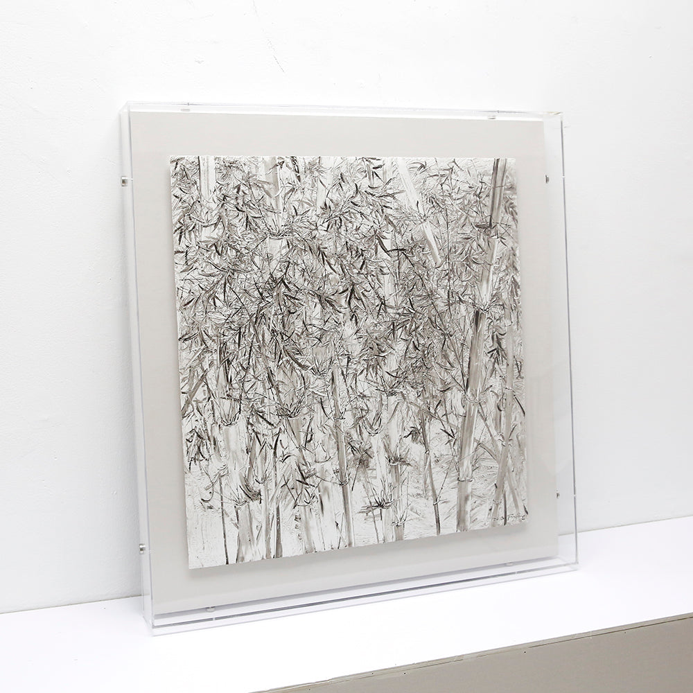 Bamboo forest 3D Wall AABA0026A - 80*80cm