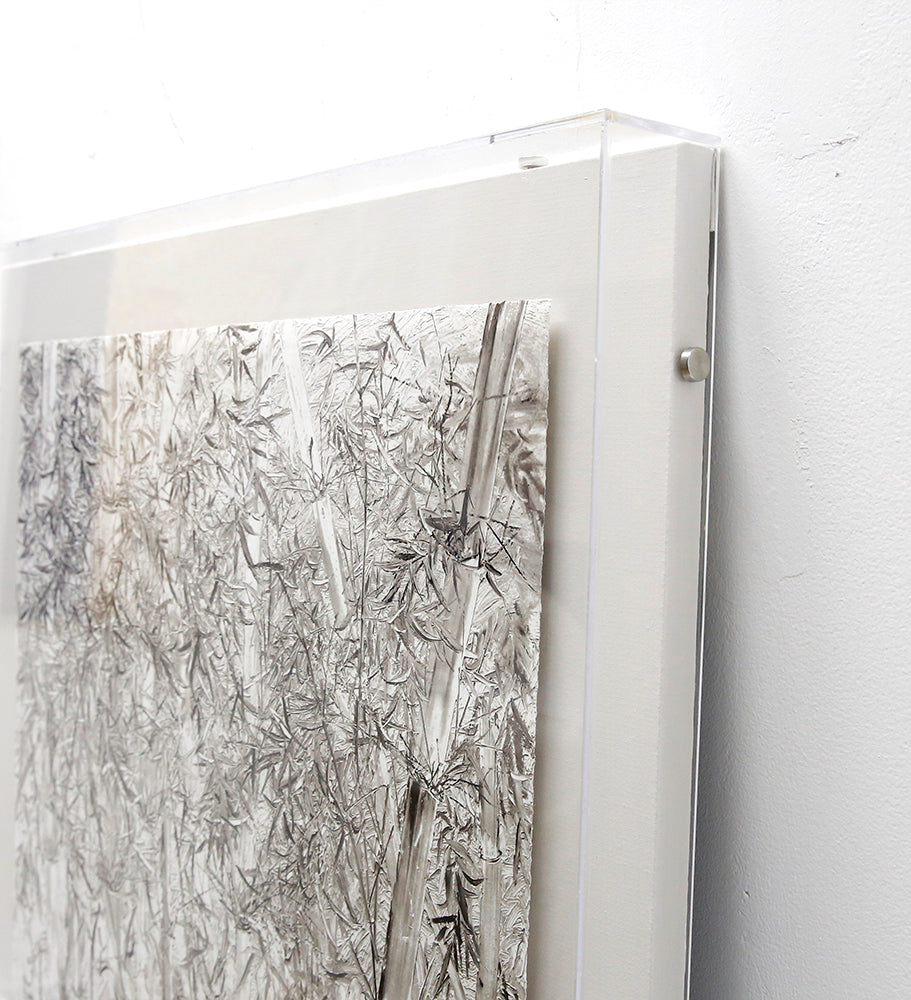 Bamboo forest 3D Wall AABA0026A - 80*80cm