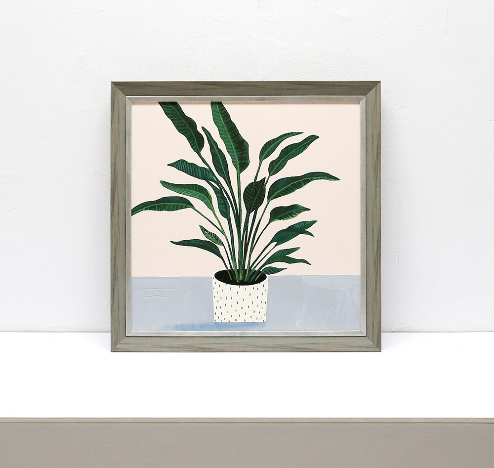 Strelitzia Reginae Wall art ASJB1064A - 50*50cm