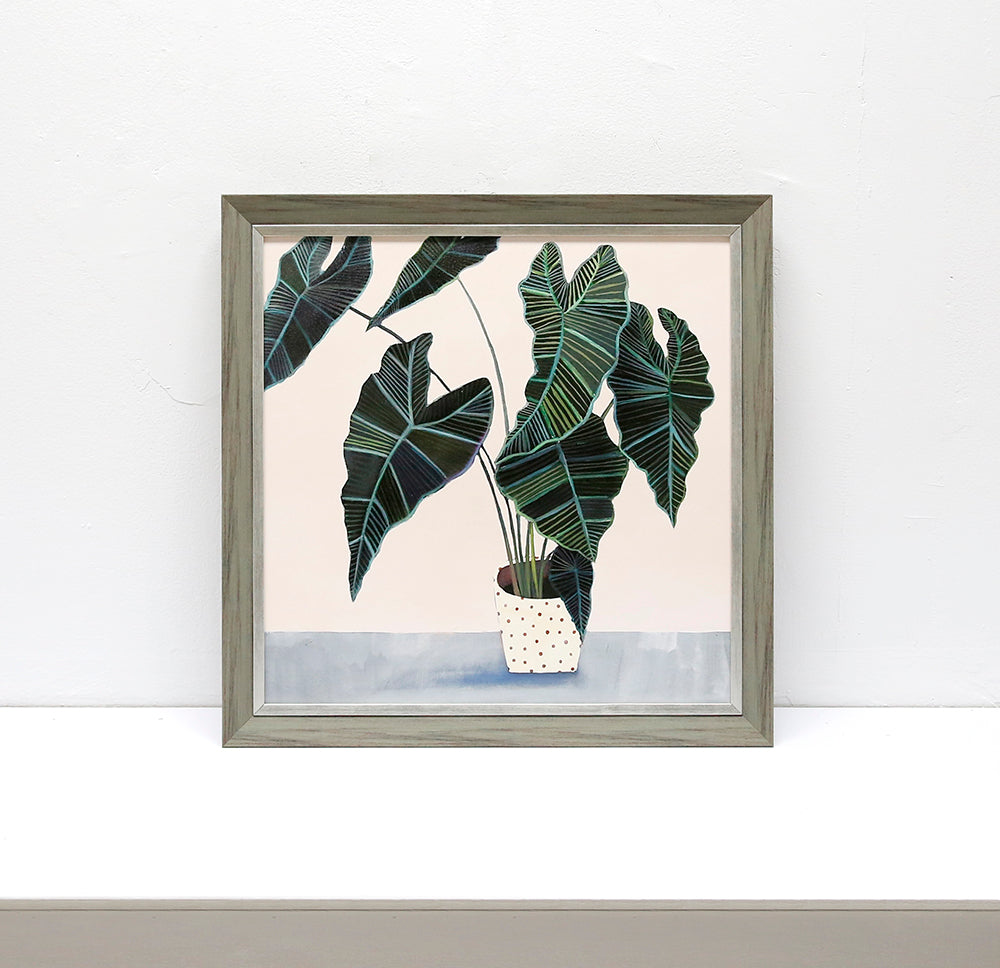 Alocasia Frydek Wall art ASJB1064B - 50*50cm