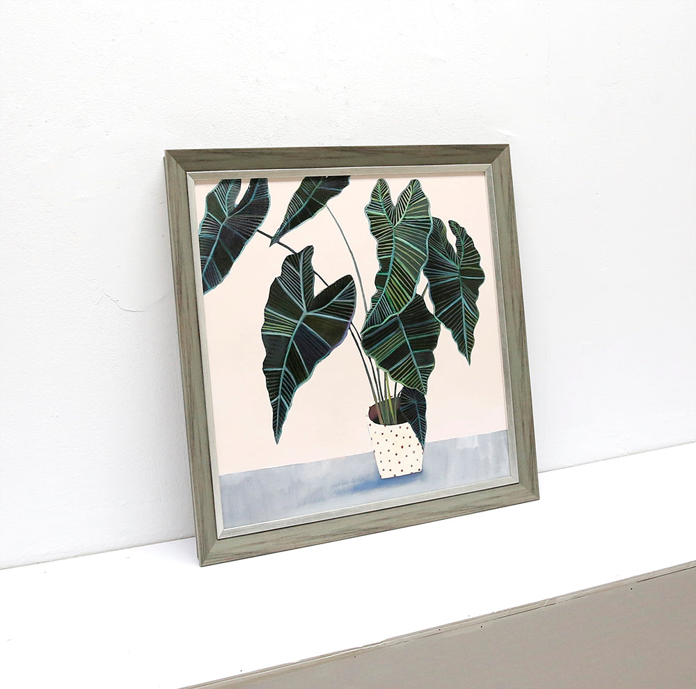 Alocasia Frydek Wall art ASJB1064B - 50*50cm