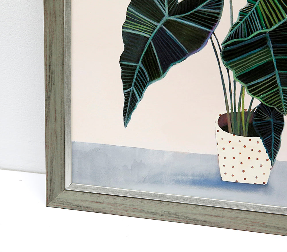 Alocasia Frydek Wall art ASJB1064B - 50*50cm