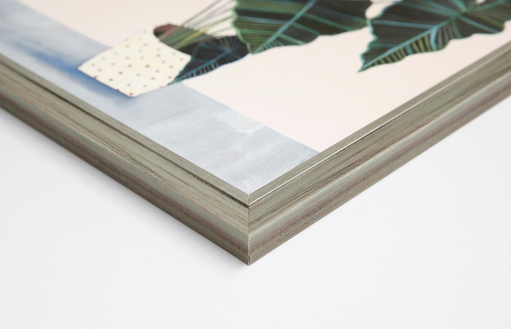 Alocasia Frydek Wall art ASJB1064B - 50*50cm