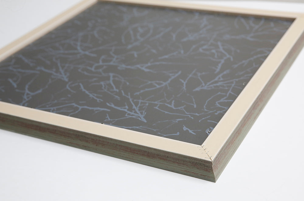 Alocasia Frydek Wall art ASJB1064B - 50*50cm