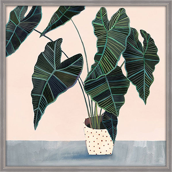 Alocasia Frydek Wall art ASJB1064B - 50*50cm
