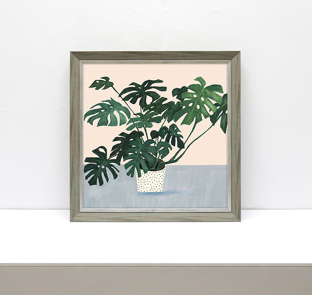 Monstera Deliciosa Wall art ASJB1064C - 50*50cm