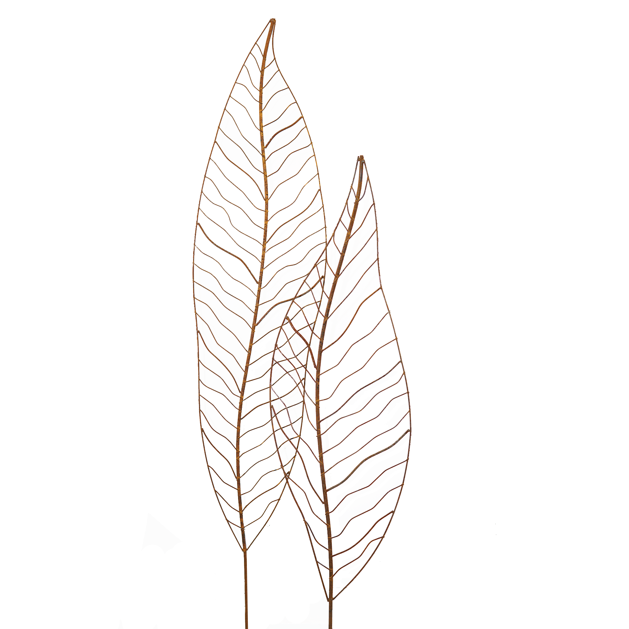 W4084 - Narrow Leaves - Natural Rusted - Pack of 3 leaves