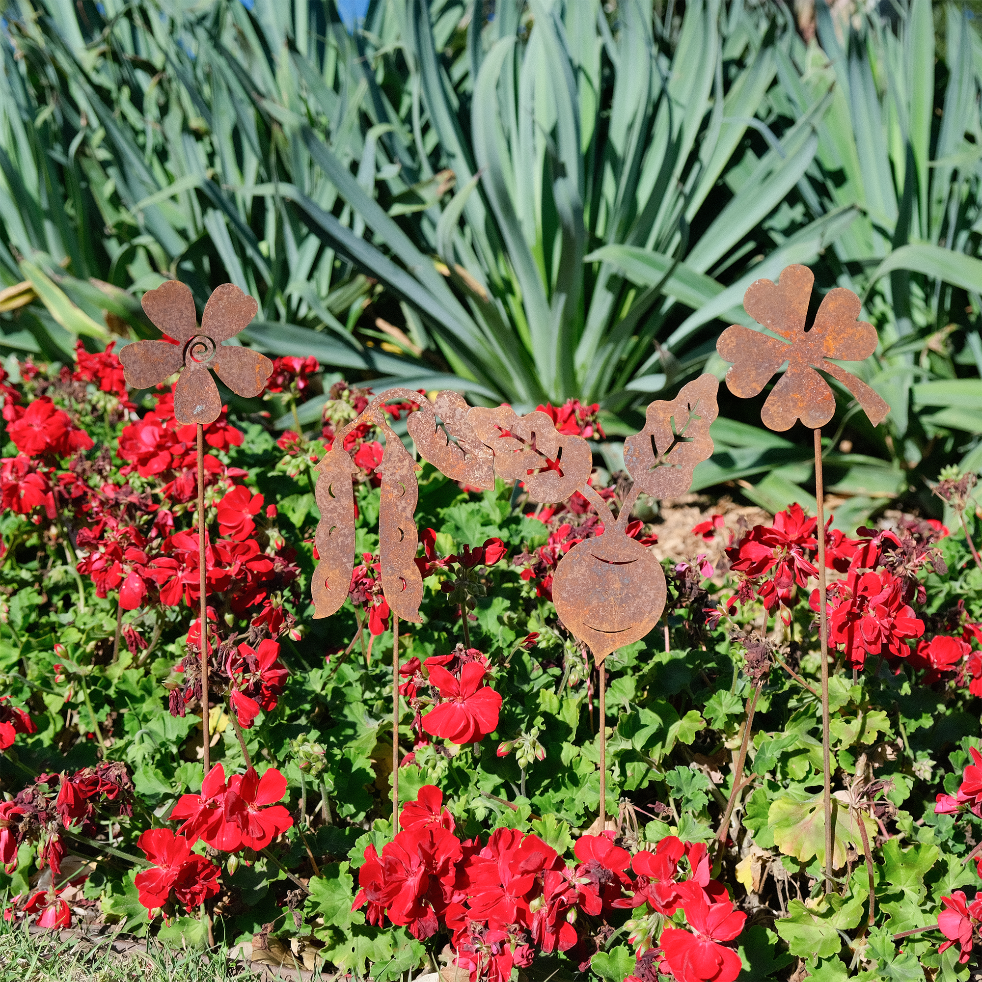 W4944 Hyacinth bean Picks - rusted garden stakes