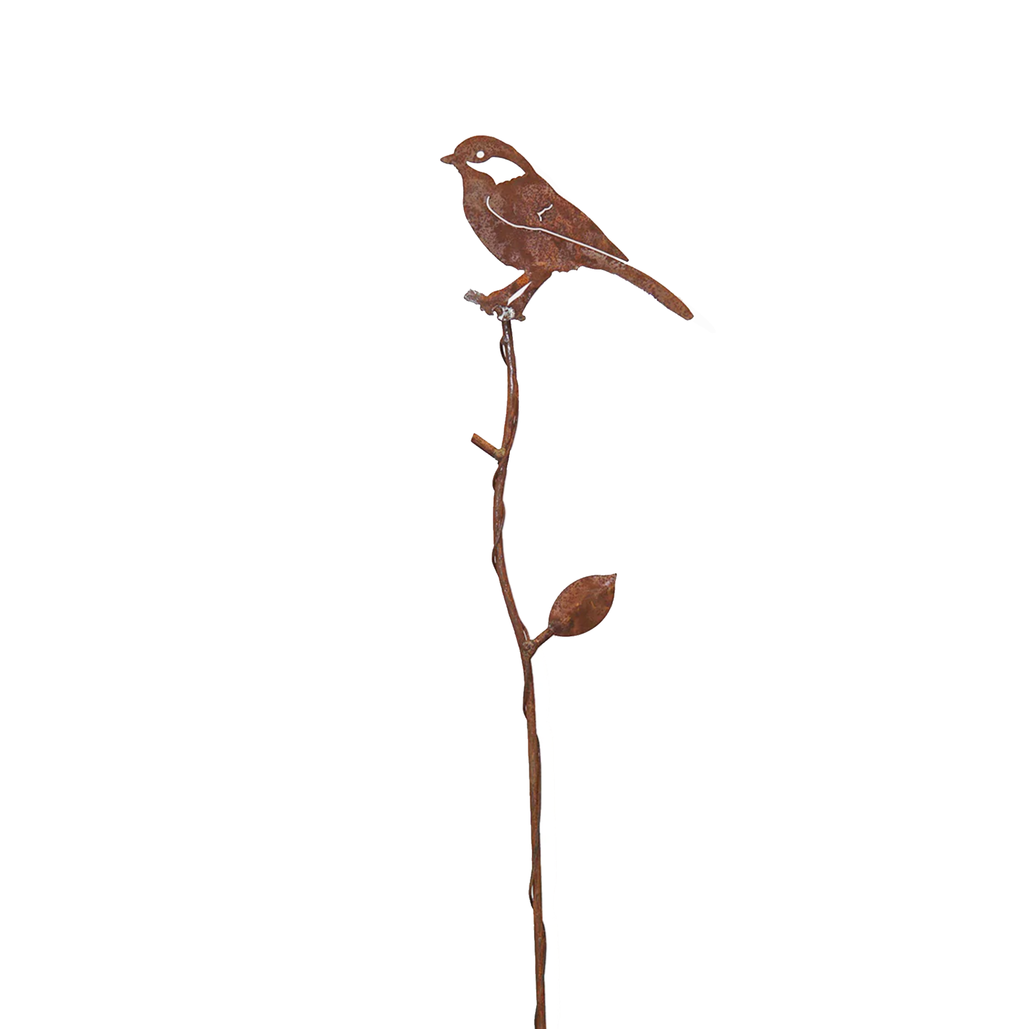 W378267-SET Branch Black-Capped Chickadee,Red-Headed Woodpecker andthroated Hummingbird