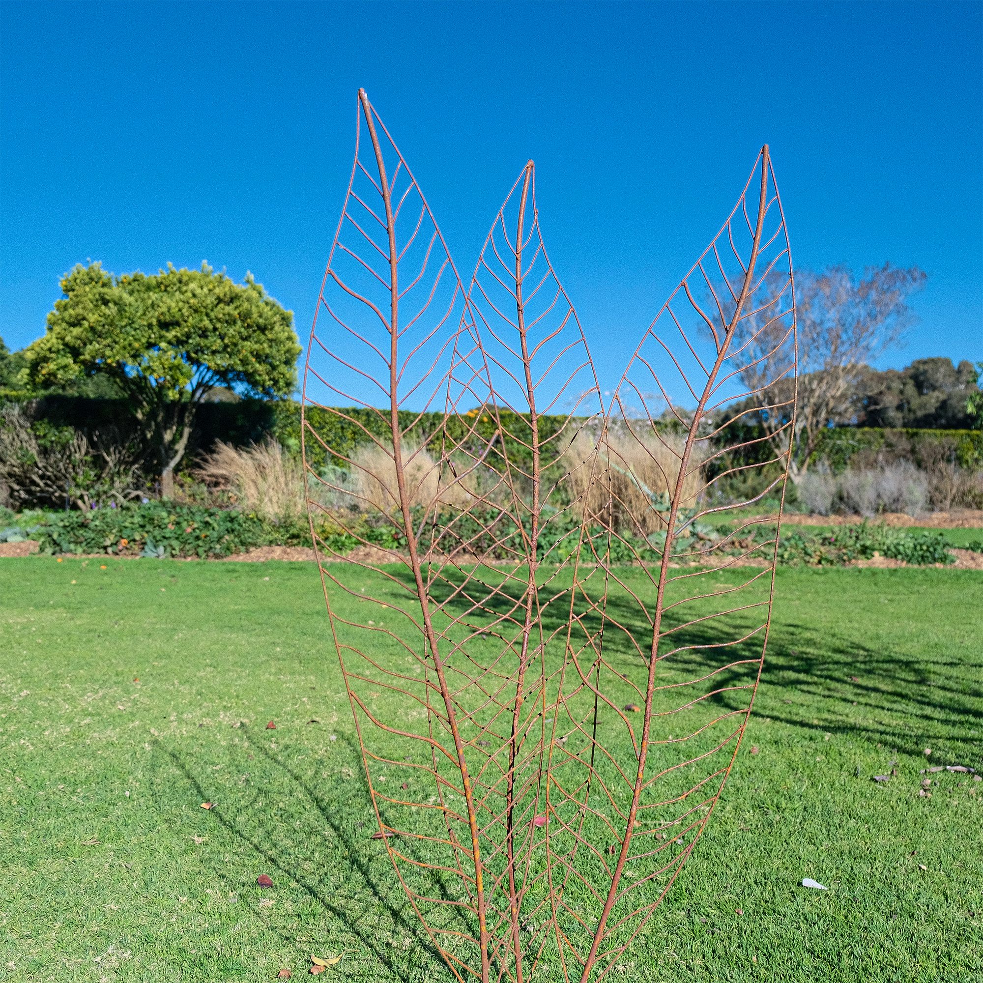 W4084 - Narrow Leaves - Natural Rusted - Pack of 3 leaves