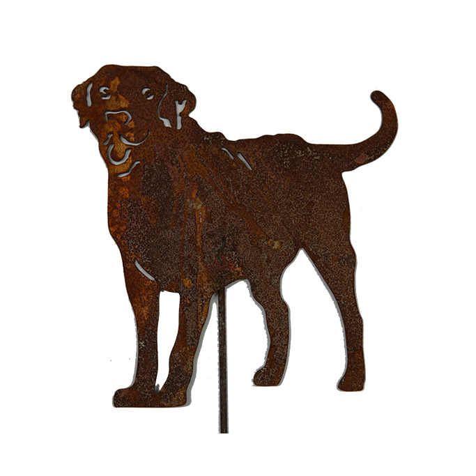 W4362 Dog stake - rusted garden stakes