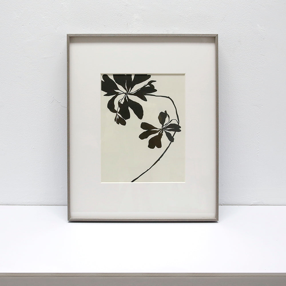 Daisy Abstract art Wall art ASMA1036B - 40*50cm
